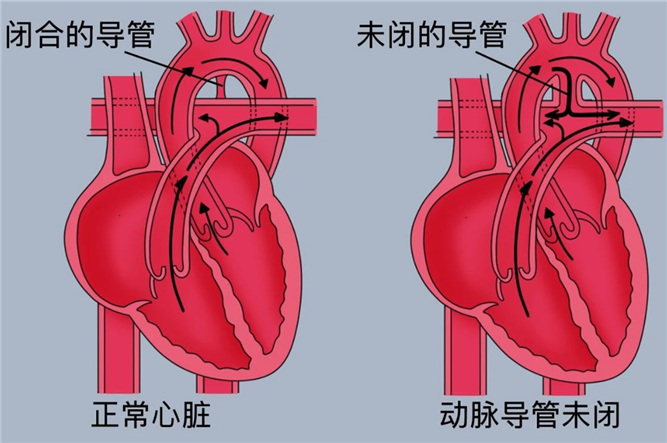 微信圖片_20250623170516_副本.jpg